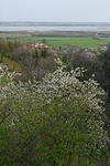 Visszaúton