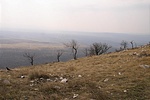 Dimbek-dombok