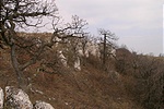 Sziklák
