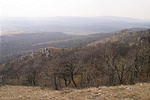 Visszafelé