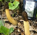 ez is, csak máskép(p)en