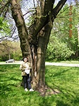 A rejtek