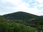 A tiszafás