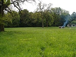 Piknikezők