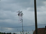 Májusfákat tép a szél