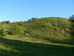 domb