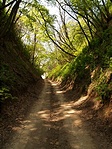 Úton
