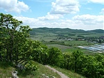 Gercse
