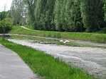 Szép nagy madár