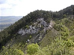 Teraszos hegyoldal