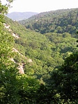 szurdok