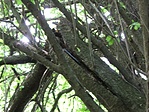 A cache rejteke