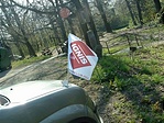 A zászlós autó.
