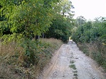 út