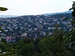 Rózsadomb