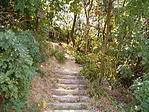 lépcső