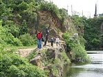 Tóparton
