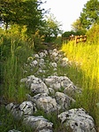 Jura