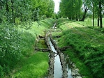 Patak
