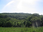 tájkép