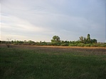Nádas