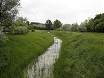 Patak
