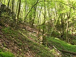 Ereszkedő