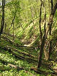 Szakadék