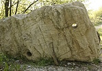 lógó orrú, szomorú kő
