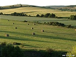 A térség mezőgazdasága