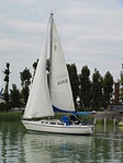 Vitorlás
