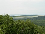Mezőgazdaság
