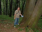 A láda.