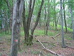 erre 180 m