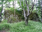 salgovár