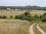 kilátás