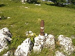 Ilyenek is