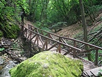 szurdok 01