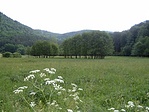 Rét