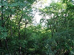 Budaörs felé