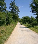 Út a sorompó felé