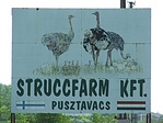 Struccfarm az ország közepén