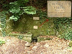 A forrás