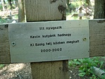 Kevin sírfelirata