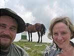 Háttérben lóval