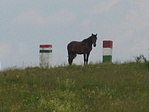 Magyarló