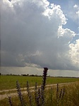 Puszta