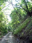 Szurdok