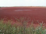 Vörösiszap tároló Almásfüzitő és Dunaalmás között