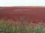 Vörösiszap tároló Almásfüzitő és Dunaalmás között